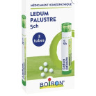 Ledum Palustre 5CH Granules...
