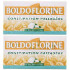 Boldoflorine tisane x48 sachets