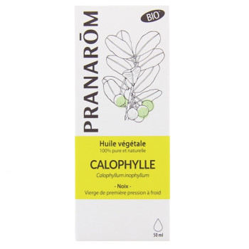 Huile Végétale Calophylle Bio 50ml Pranarôm