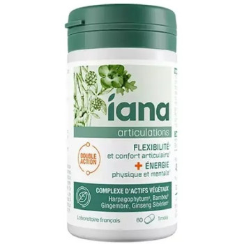 Articulations Flexibilité et Énergie x60cpr Iana