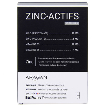 Synactifs ZincActif x60 gélules Aragan
