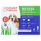 Perfikan Chiens Moyens 134mg/1200mg x4 pipettes Clément Thékan