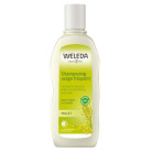 Shampooing Usage Fréquent...