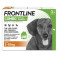 Frontline Combo Chien S (2-10kg) x3 pipettes