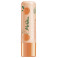 Baume Lèvres Adoucissant Abricot Bio 4,5g Melvita