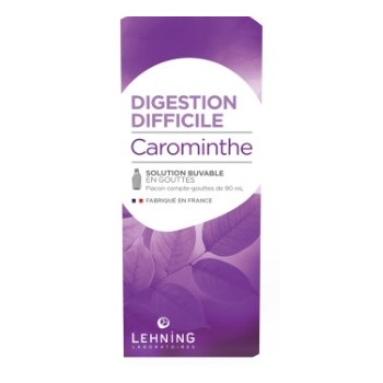 Carominthe Digestion Difficile 90ml Lehning