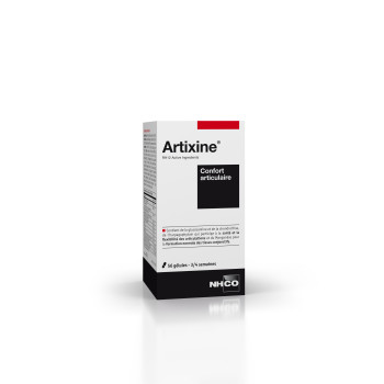 Artixine - NHCO Nutrition x56