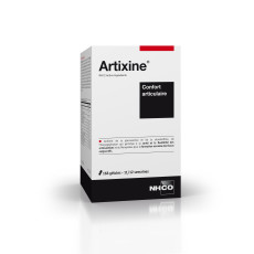 Artixine- NHCO Nutrition x168
