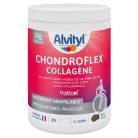 ChondroFlex Collagène 220g Alvityl