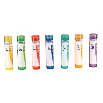 MUQUEUSE GASTRIQUE Granules (estomac)