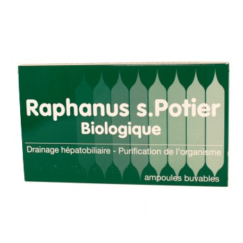 Raphanus S. Potier Biologique