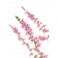 Fleurs de Bach Original Heather 14