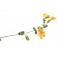 Fleurs de Bach Original Mimulus 20