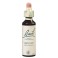 Fleurs de Bach Original Vervain 31
