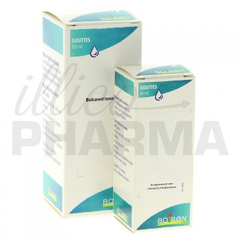 Rubus Idaeus Gouttes