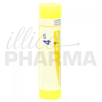 Anisum Stellatum Granules