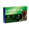 Capstar Chien +11kg x6cpr Elanco