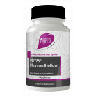 Extrait sec Chrysanthellum x150...