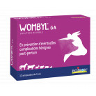 Wombyl GA Ampoules 12x5ml Boiron