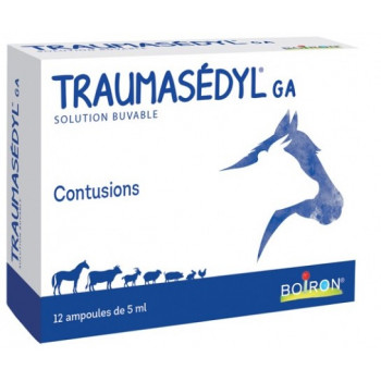 Traumasédyl GA Ampoules 12x5ml Boiron