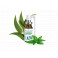 Respiratoire Spray Gorge 15ml Puressentiel