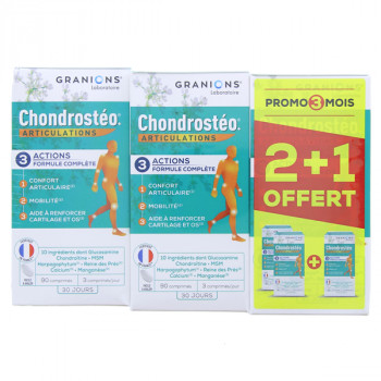 Chondrosteo+ Articulations 3x90cpr Granions