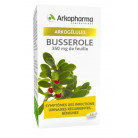 Arkogélules Busserole x45...