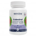 Oemine Colestrol x60 gélules