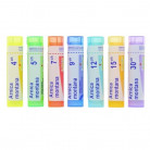 Arnica Montana Granules