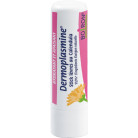Dermoplasmine Stick...