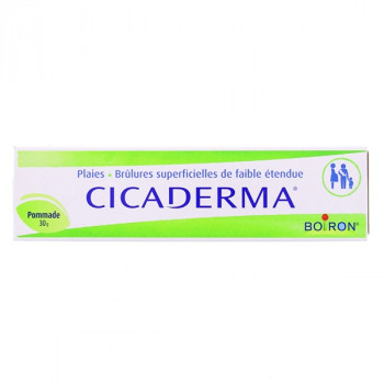 Cicaderma Pommade 30g Boiron