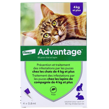 Advantage chat lapin + de 4kg 4x0,8ml Elanco