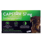 Capstar Chien +11kg x6cpr Elanco