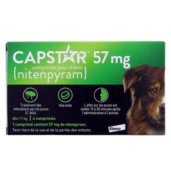 Capstar Chien +11kg x6cpr Elanco