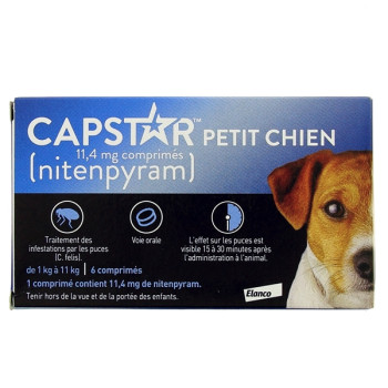 Capstar Petit chien x6cpr Elanco