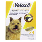 VeloxA Vermifuge pour Chiens...