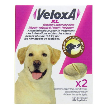 VeloxA XL Vermifuge pour Chiens +17,5kg x2cpr à croquer