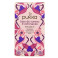 Infusion Baie de sureau & Echinacée Bio x20 sachets Pukka