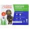 Perfikan Petits Chiens 67mg/600mg x4 pipettes Clément Thékan