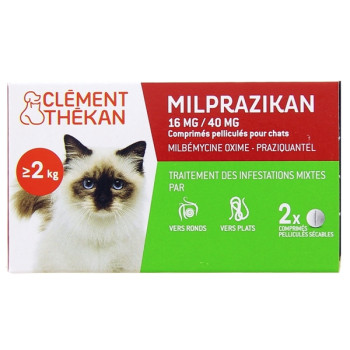 MilPrazikan Chats x2cpr Clément Thékan
