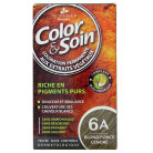 Color & Soin Blond Foncé Cendré 6A