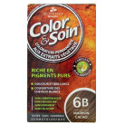 Color & Soin Marron Cacao 6B