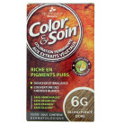 Color & Soin Blond foncé doré 6G
