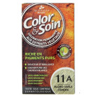 Color & Soin Blond Sable Cendré 11A