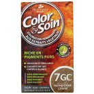 Color & Soin Blond Doré Cuivré 7GC