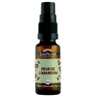 Spray Peur De L'Abandon Bio...