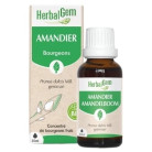 Amandier Bio 30ml Herbalgem