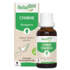 Charme Bio 30ml Herbalgem