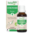 Citronnier Bio 30ml Herbalgem