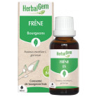 Frêne Bio 30ml Herbalgem